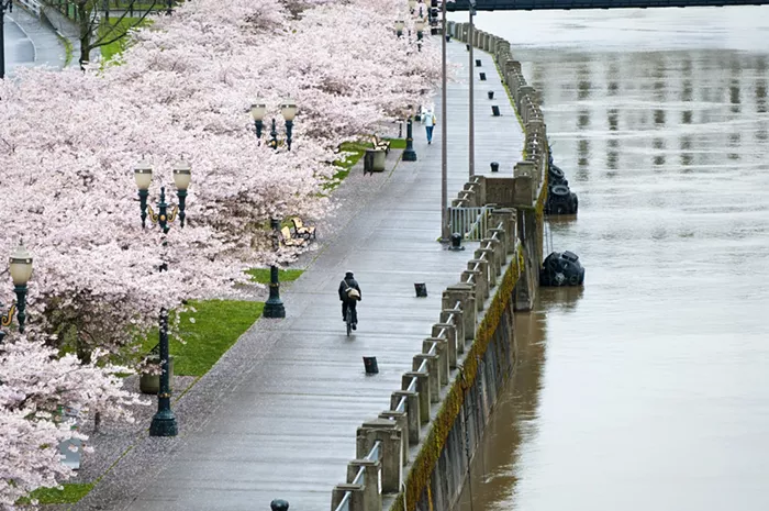 Good Morning News: Real ID Deadline is Here, the OHSU/Legacy Merger is Canceled, and Could Portland's Clean Energy Fund Bail Out its Parks Bureau? 